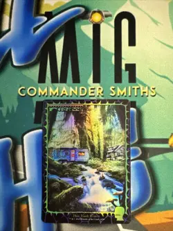 FOREST - Landscape ✨ FOIL ✨ Secret Lair MTG NM Near Mint Brain Dead (1656) - Image 1