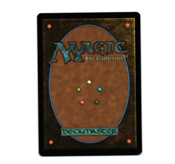 MTG Swamp 0191 Marvel's Spider-Man Regular [NM] - Image 2