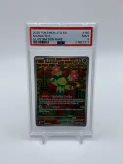 2025 POKEMON JTG EN-JOURNEY TOGETHER ILLUSTRATION RARE #160 MARACTUS PSA 9 - Image 1