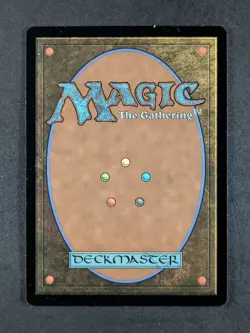 2026 Magic: The Gathering RAPH & MIKEY, TROUBLEMAKERS #0250 TMNT Showcase Rare - Image 2