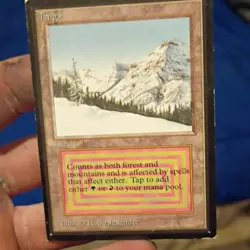 Magic: The Gathering Taiga International Edition Land Card Wizards of the Coast - Image 1