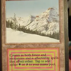 Magic: The Gathering Taiga International Edition Land Card Wizards of the Coast - Image 2