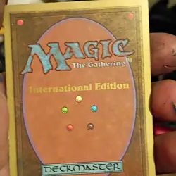 Magic: The Gathering Taiga International Edition Land Card Wizards of the Coast - Image 3