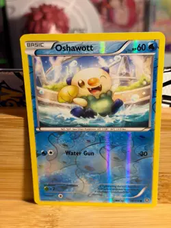 OSHAWOTT 30/114 Steam Siege Common Reverse Holo Pokemon TCG Near Mint - Image 1