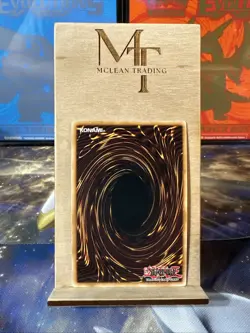 One for One DPCT-ENY08 2010 Duelist Pack Collection Tin Limited Edition - Image 2