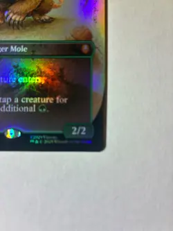 Badgermole Cub Borderless Foil NM MTG Avatar The Last Airbender Mythic - Image 3