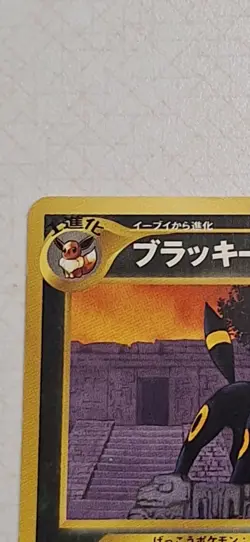 Umbreon Pokemon 2000 Neo Premium File 2 Promo Japanese 197 - Image 2