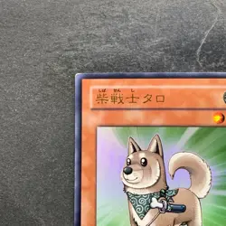 Shiba Warrior Taro YAP1-JP009 Ultra Rare Anniversary Pack YuGiOh 100 - Image 2