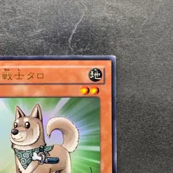 Shiba Warrior Taro YAP1-JP009 Ultra Rare Anniversary Pack YuGiOh 100 - Image 3