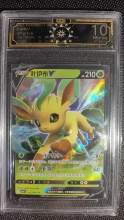 Chinese Pokemon Flareon & Leafeon V OCD 10 Pristine Graded Card Lot*10 GL15 - Image 4