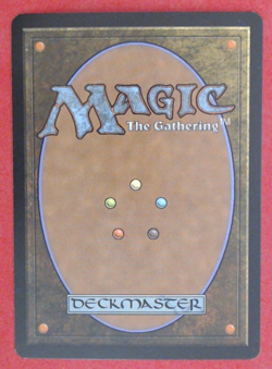 MTG Bling - Foil Old Border Retro Basic Land - Forest (347) - Onslaught -i105 - Image 2