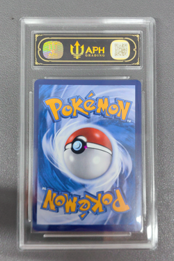 APH 10 Bianca's Devotion SAR CSV7C-249/204 Pokemon Card Chinese - Image 2