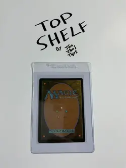 Nimbus Maze - Future Sight (178) mtg Magic the Gathering - Top Shelf Mint - Image 2