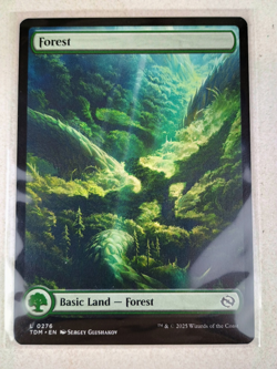 Forest (0276) - Tarkir: Dragonstorm (TDM) MTG Magic the Gathering - NM+ - Image 1