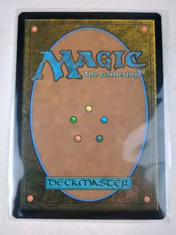 Forest (0276) - Tarkir: Dragonstorm (TDM) MTG Magic the Gathering - NM+ - Image 2