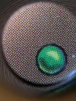 MTG Mountain Foil Unfathomable Crushing Brutality Of Basic Lands NM Secret Lair - Image 3