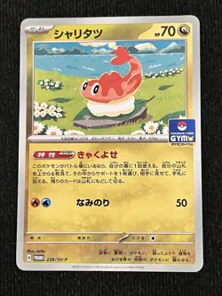Tatsugiri 236/SV-P Gym Promo - Pokemon Card Japanese Scarlet & Violet - Image 1