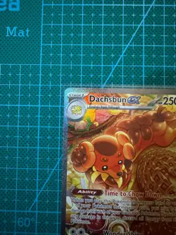 Pokemon TCG Dachsbun Ex 169/142 Special Illustration Rare Stellar Crown English - Image 2