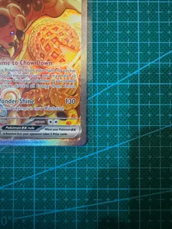 Pokemon TCG Dachsbun Ex 169/142 Special Illustration Rare Stellar Crown English - Image 5