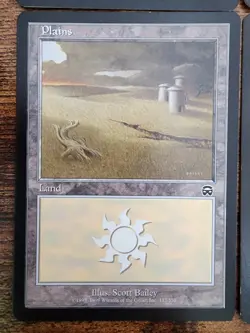 MTG ⭐Mercadian Masques Basic Land Plains Set LP+ ⭐4x: 1x of Each Art 1999 Magic - Image 5