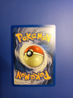 Piloswine Pokemon Skyridge Holo Rare H22 NM/M Swirl - Image 4