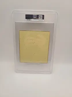 Graded 2020 Pokemon Shikishi ArtBoard - #15 Pikachu & Raichu - PSA 8NM-MT -... - Image 3