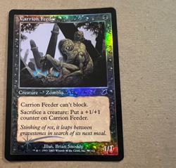 Foil - Carrion Feeder - Scourge - MTG - Magic the Gathering - Image 2