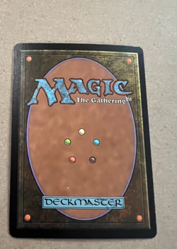 Foil - Carrion Feeder - Scourge - MTG - Magic the Gathering - Image 3