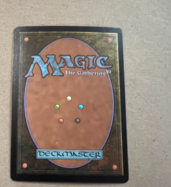 Foil - Carrion Feeder - Scourge - MTG - Magic the Gathering - Image 4