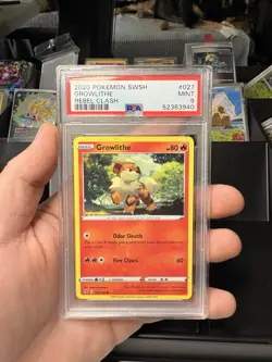 Pokemon Growlithe 027/192 SWSH02 Rebel Clash Common Regular PSA 9 80 HP - Image 1