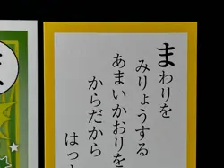 Sprigatito Pokemon Cards Japanese Playing Cards Karuta Game TCG Nintendo SV - Image 4