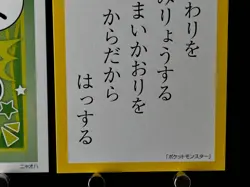 Sprigatito Pokemon Cards Japanese Playing Cards Karuta Game TCG Nintendo SV - Image 5