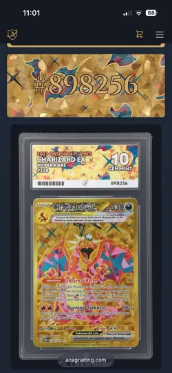 Charizard EX 228/197 SV3 Obsidian Flames Gold Hyper Rare Pokemon 2023 Ace 10 - Image 1