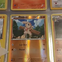 Pokemon TCG Card Lot of 9, Holo & Regular, Torchic, Growlithe, Eevee - Image 2