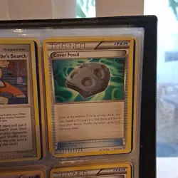 Pokemon TCG XY & Black & White Lot of 9, Skitty, Ekans, Bebe, Tierno - Image 4