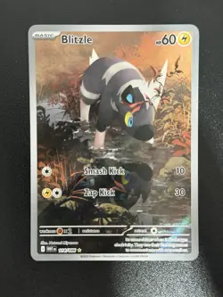 Blitzle 114/086 Pokemon White Flare Illustration Rare Mint Condition - Image 1