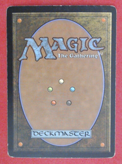 MTG Bling - Foil Old Border Retro Basic - Swamp (341) - Onslaught -i123[back] - Image 2