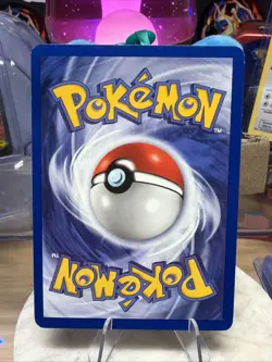 Dark Raticate - 1st Edition - 51/82 Team Rocket - Pokemon TCG - 2000 - Image 2