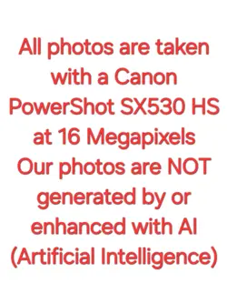 1999 Pokemon Spearow No. 021 Intro Pack Squirtle Deck Card #13 Near-Mint / Mint☆ - Image 3