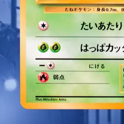 1999 Pokemon Bulbasaur #001 Bulbasaur Deck Intro Pack Card #1 Near-Mint☆ SeePics - Image 4