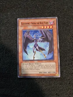 Blackwing - Shura the Blue Flame - RGBT-EN011 - Common - 1st ed - Yugioh - Image 1