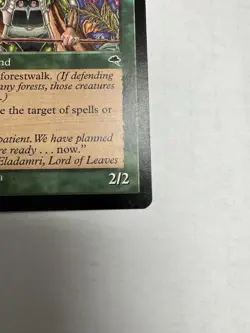 Magic The Gathering - Eladamri, Lord of Leaves - Tempest- Regular - Image 5