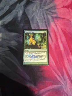 Natural Order Foil DCI Judge Promo MTG Magic The Gathering - Image 1
