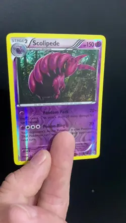 Scolipede 53/146 XY Reverse Holo Rare Pokemon TCG LP+ - Image 2