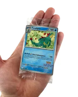 Sealed Pokemon TCG 2024 Illustration Contest Promo Cards (3-Card Set) - Image 2