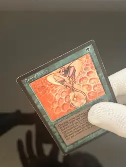 Magic the Gathering MTG Arabian Nights Drop of Honey MP (Beta Bob) - Image 3