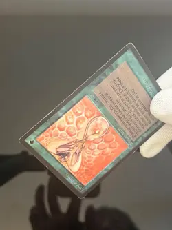 Magic the Gathering MTG Arabian Nights Drop of Honey MP (Beta Bob) - Image 4