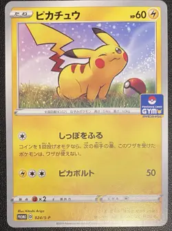 Pokemon TCG Promo Pikachu 024/S-P 2019 Japanese NM/Mint Special Non-Holo Rare - Image 1