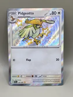 Pidgeotto NM Baby Shiny 197/091 SV: Paldean Fates Pokemon TCG Holo - Image 3