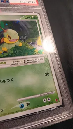 Turtwig PSA 10 - 001/PPP - Holo - Fan Club 2000 Exp Pts Promo -Japanese- Pokemon - Image 3